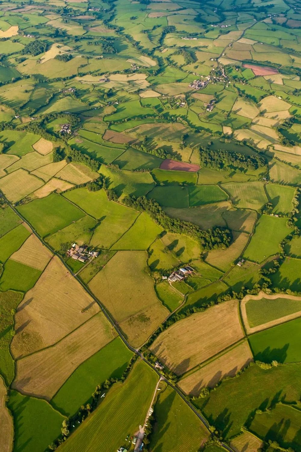 Agriculture & Forestry