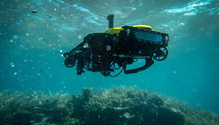 The main AUV features